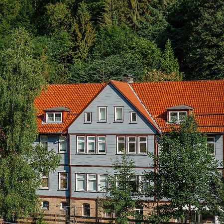 Fewo-Lerbachtal Osterode am Harz Εξωτερικό φωτογραφία