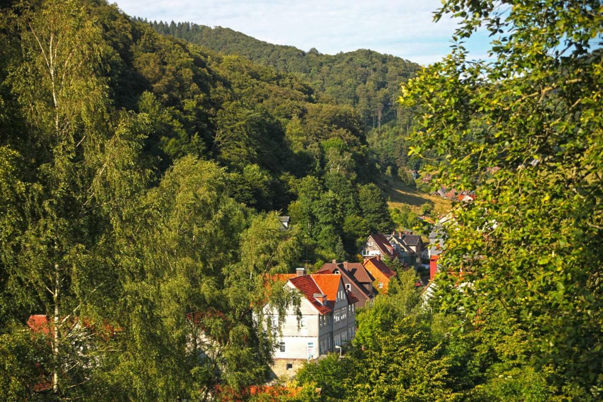 Fewo-Lerbachtal Osterode am Harz Εξωτερικό φωτογραφία