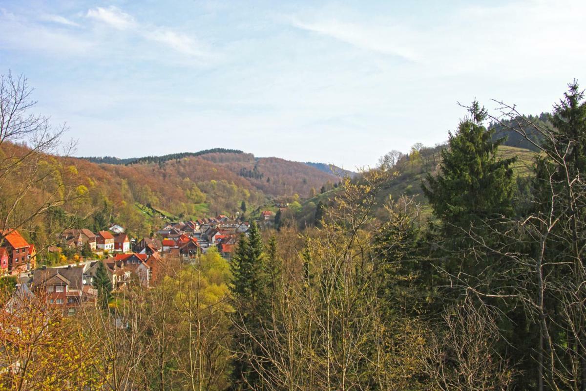 Fewo-Lerbachtal Osterode am Harz Εξωτερικό φωτογραφία
